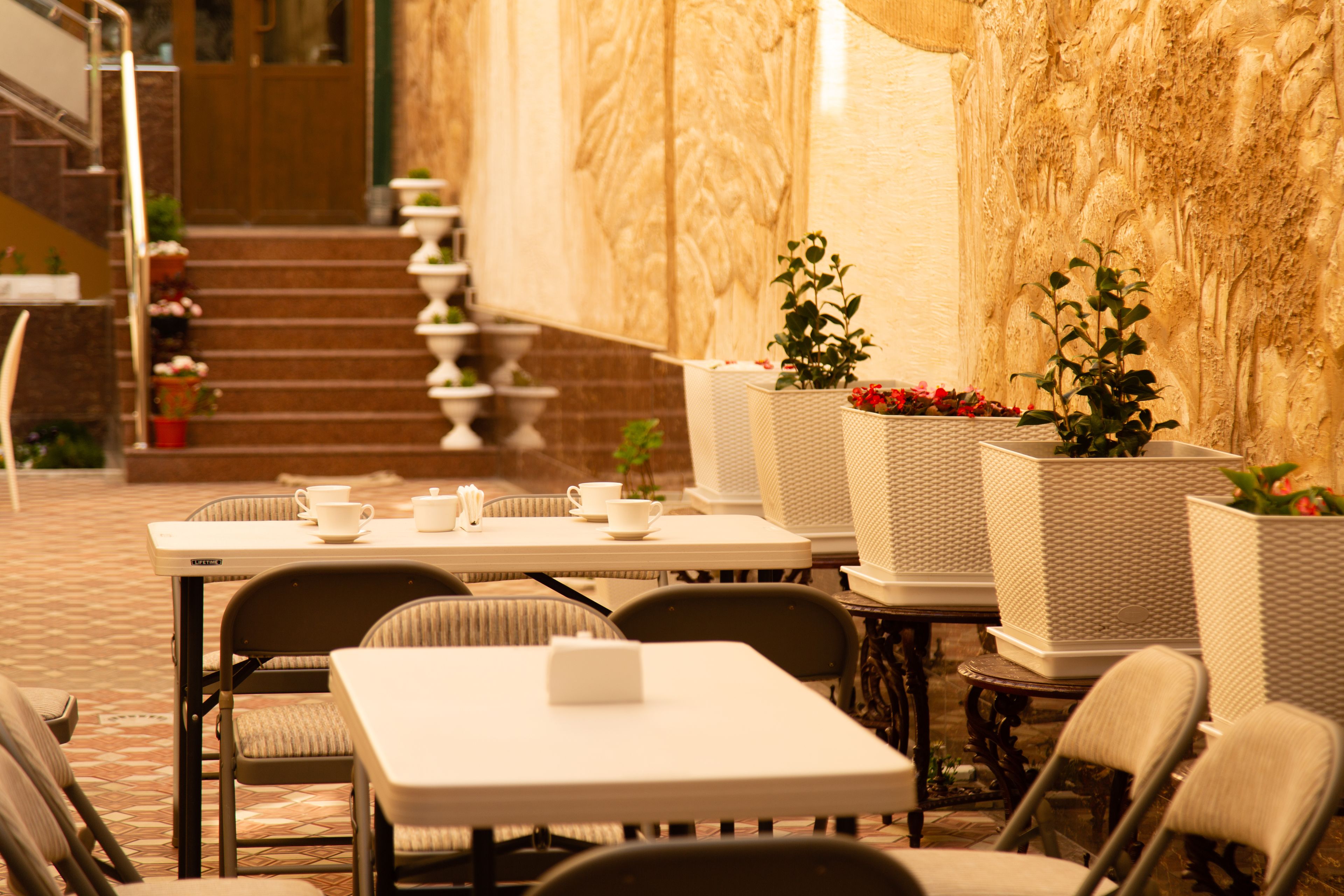 Foto - Cinzano Complex