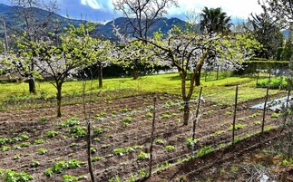 객실에서 보이는 전망