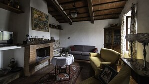 A rustic living room with a fireplace, a sofa, a chair, a table with tea set, and a cabinet. -  Manor house + studio apartment (Montiano)