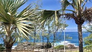 Une vue sur la côte, avec des palmiers et une clôture en bois.