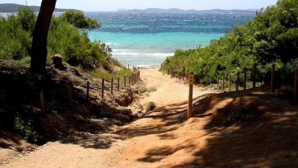 Een zandpad dat naar een strand leidt, met een hek aan één kant en bomen aan de andere kant.