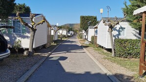 Una hilera de casas móviles separadas por una carretera pavimentada, rodeado de vegetación y árboles.