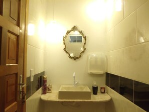Une salle de bain équipée d’un lavabo, d’un miroir, d’un distributeur de savon et d’une petite plante en pot.