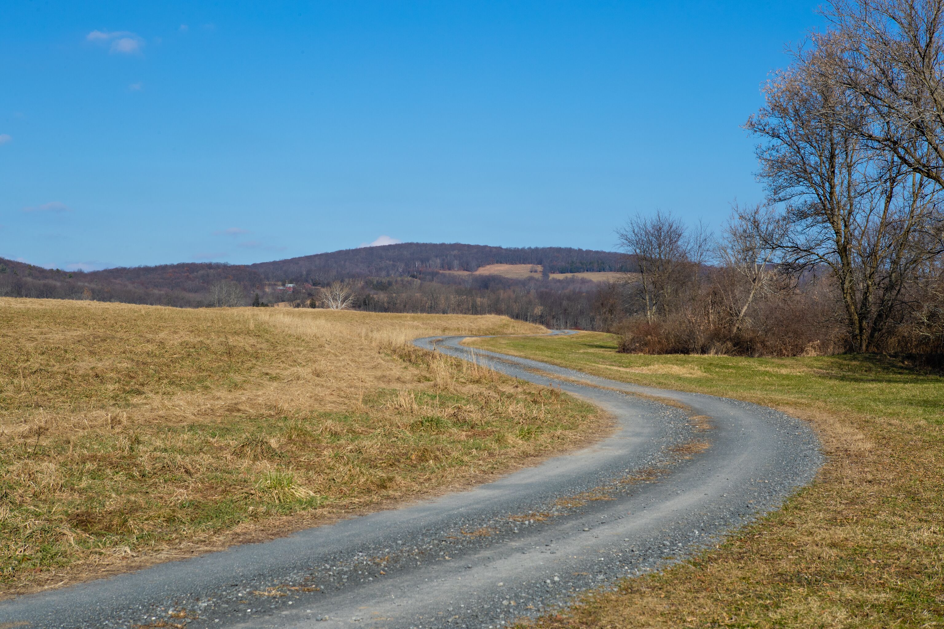 Uma estrada rural sinuosa atravessa um campo, com uma árvore à direita e colinas ao fundo.