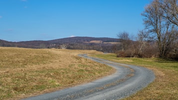 Una strada di campagna che si snoda attraverso un campo, con un albero sulla destra e colline sullo sfondo.