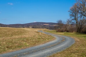 Une route de campagne sinueuse traverse un champ, avec un arbre sur la droite et des collines en arrière-plan.