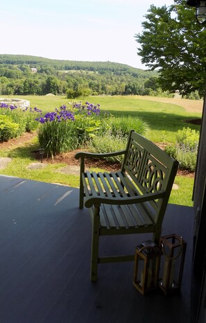 Terrace/patio - Secluded and Spectacular Views (Pine Plains)