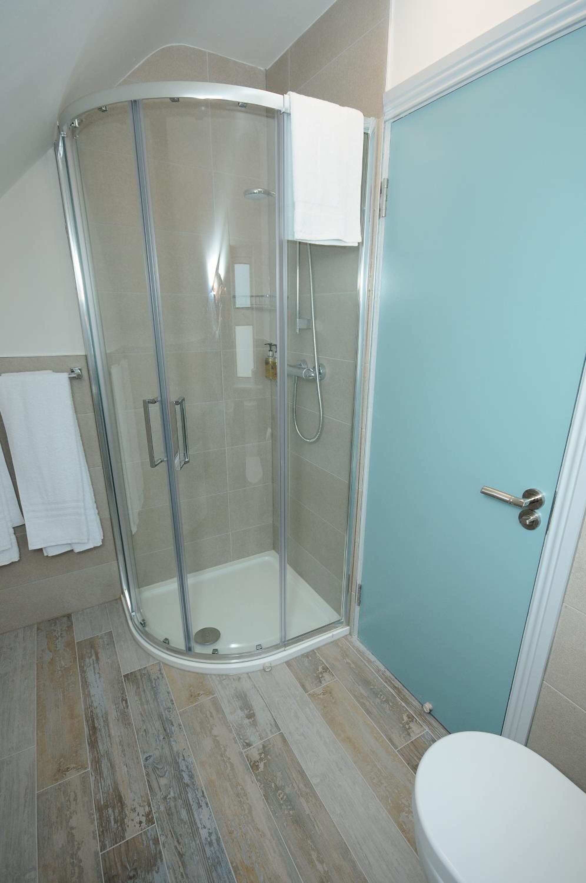 A bathroom with a glass-enclosed shower, a toilet, and a blue door.