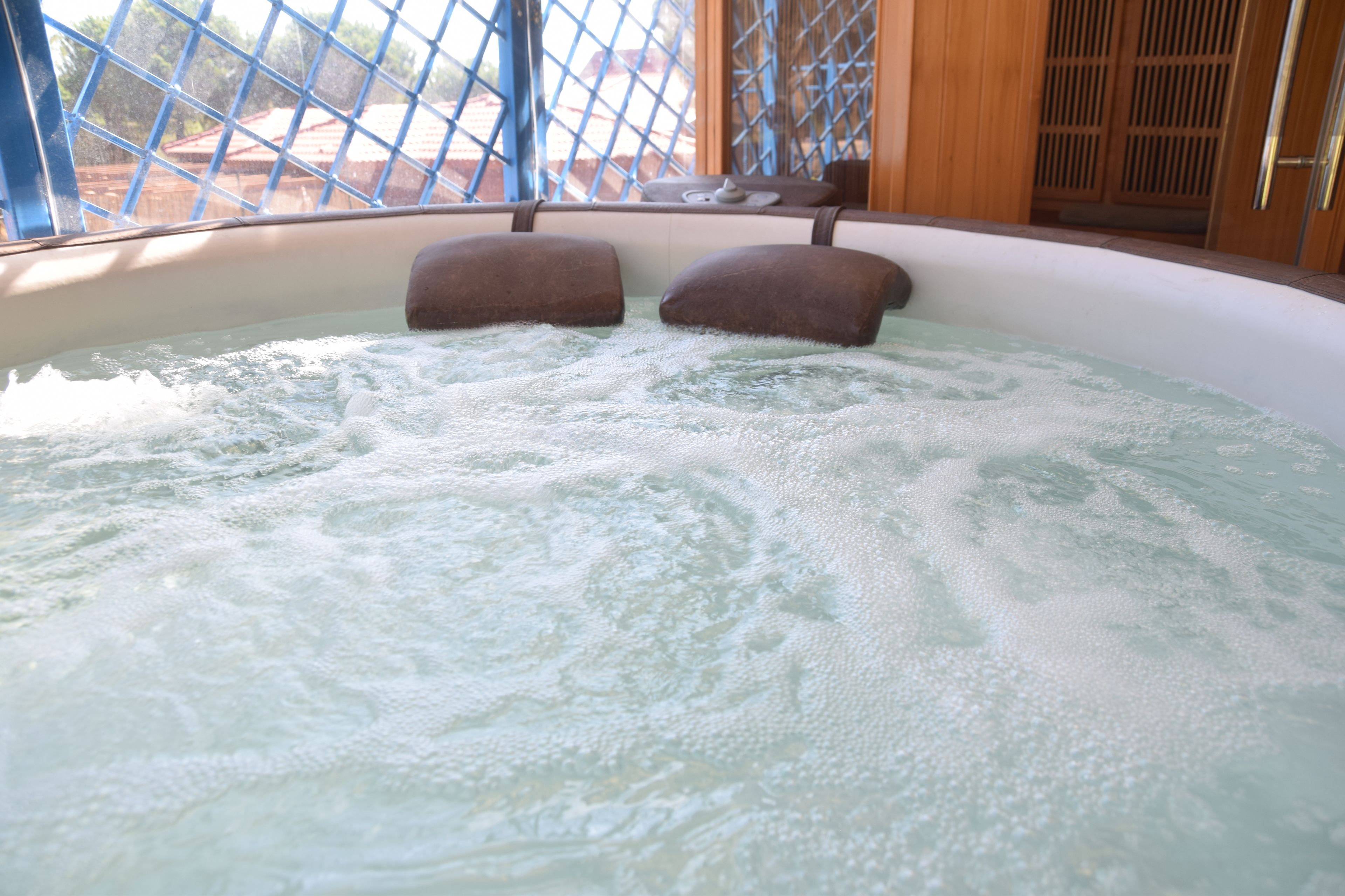 A hot tub with two brown cushions, a wooden door, and a blue lattice window.