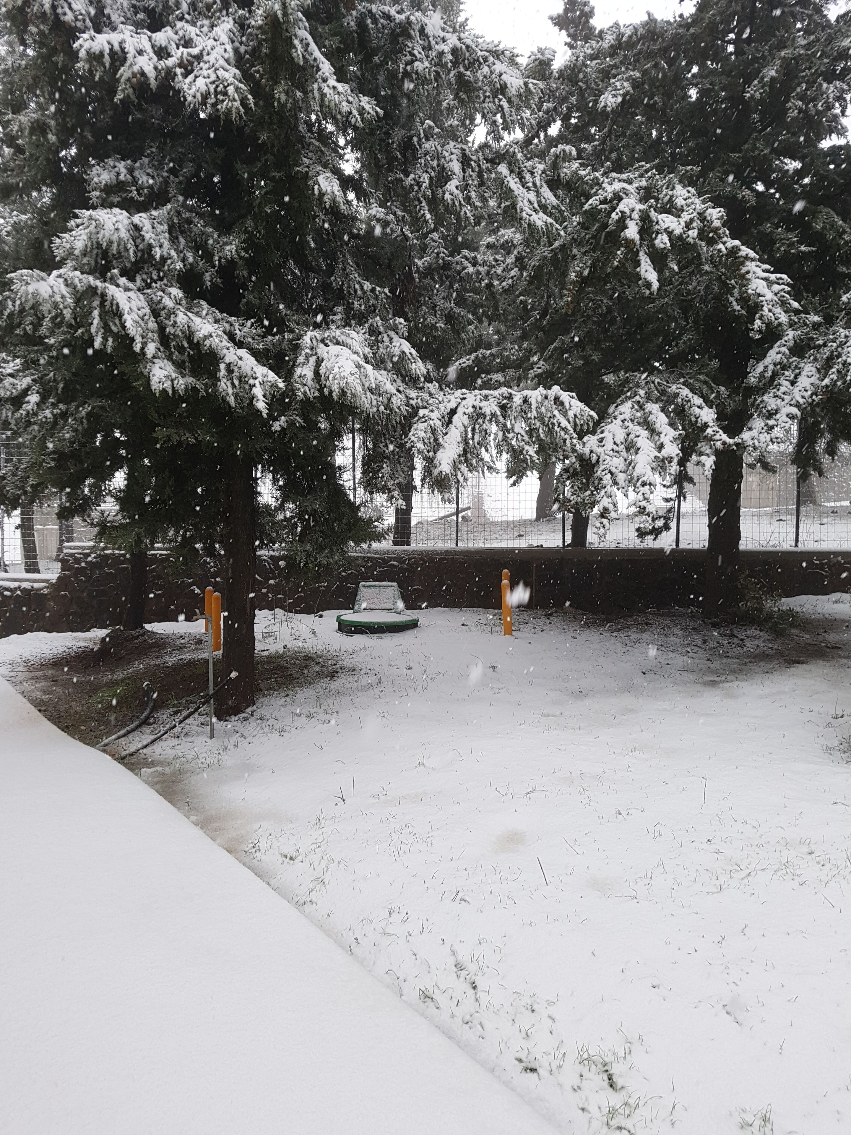 A snow-covered park with trees and a playground.
