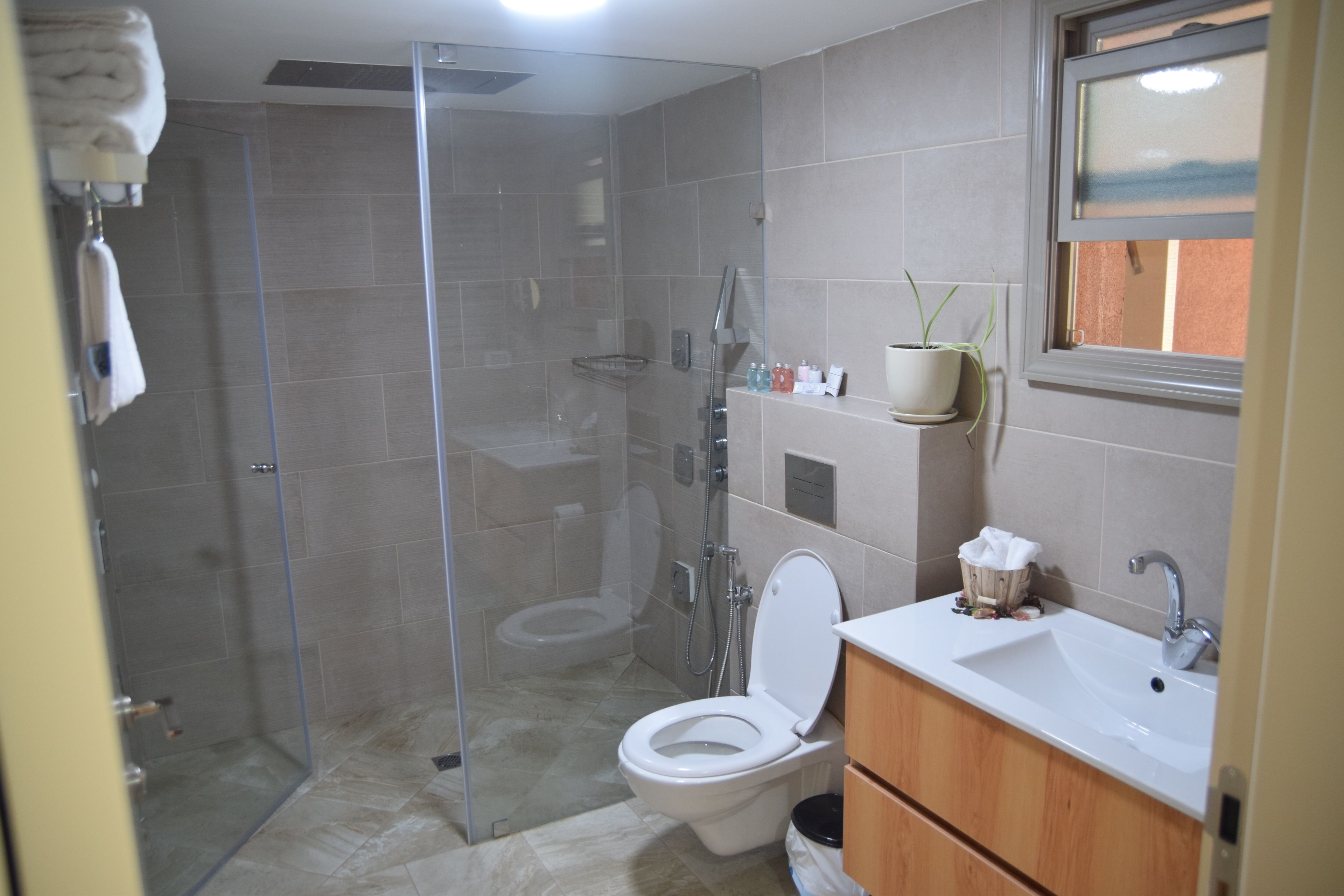 A bathroom with a glass-enclosed shower, a toilet, and a sink with a wooden cabinet.