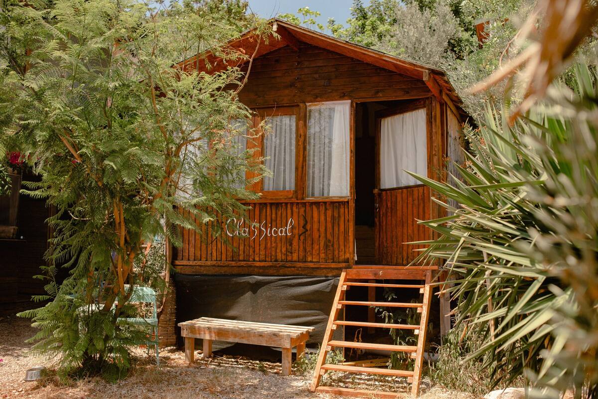 A rustic wooden cabin with a covered porch, a bench, and a ladder.