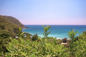 Vista para a região