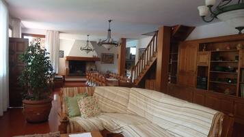 TV, caminetto, libri, impianto stereo