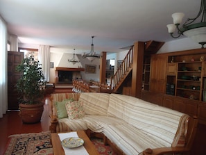 Televisión, chimenea, libros y estéreo 