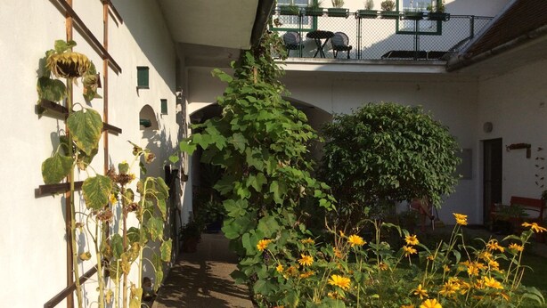A courtyard with a climbing plant, a pathway, and a balcony with outdoor furniture.