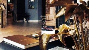 A modern living room with a large plant, a book, and a lamp. - La Bussola Hotel (Milazzo)