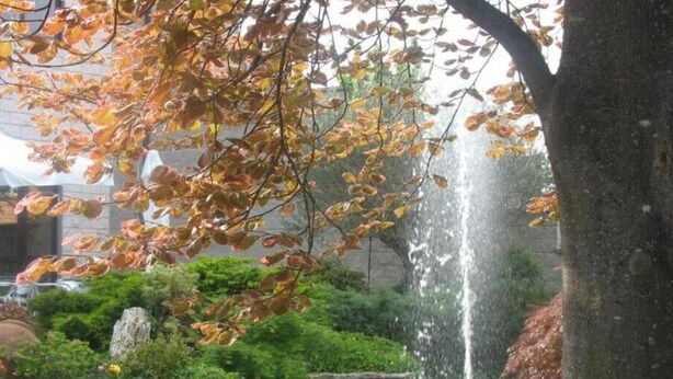 Un árbol con hojas otoñales y una fuente en un jardín.