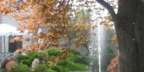 A tree with autumn leaves and a water feature in a garden setting. - Hotel Garibaldi (Vercelli)