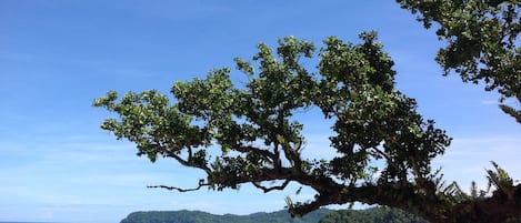 Na praia, espreguiçadeiras, toalhas de praia 