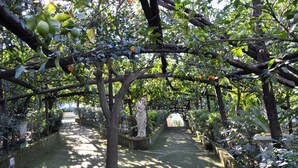 A garden pathway with trees, a statue, and a stone bench.