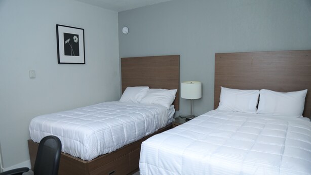 A hotel room with two single beds, a desk, a chair, a bedside lamp, and a framed picture on the wall.