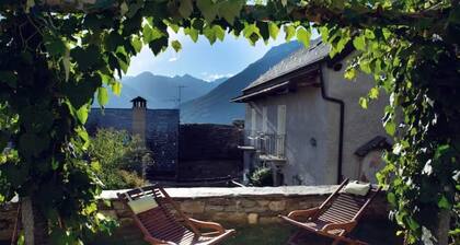 Haus-Rivoria-Kirsche