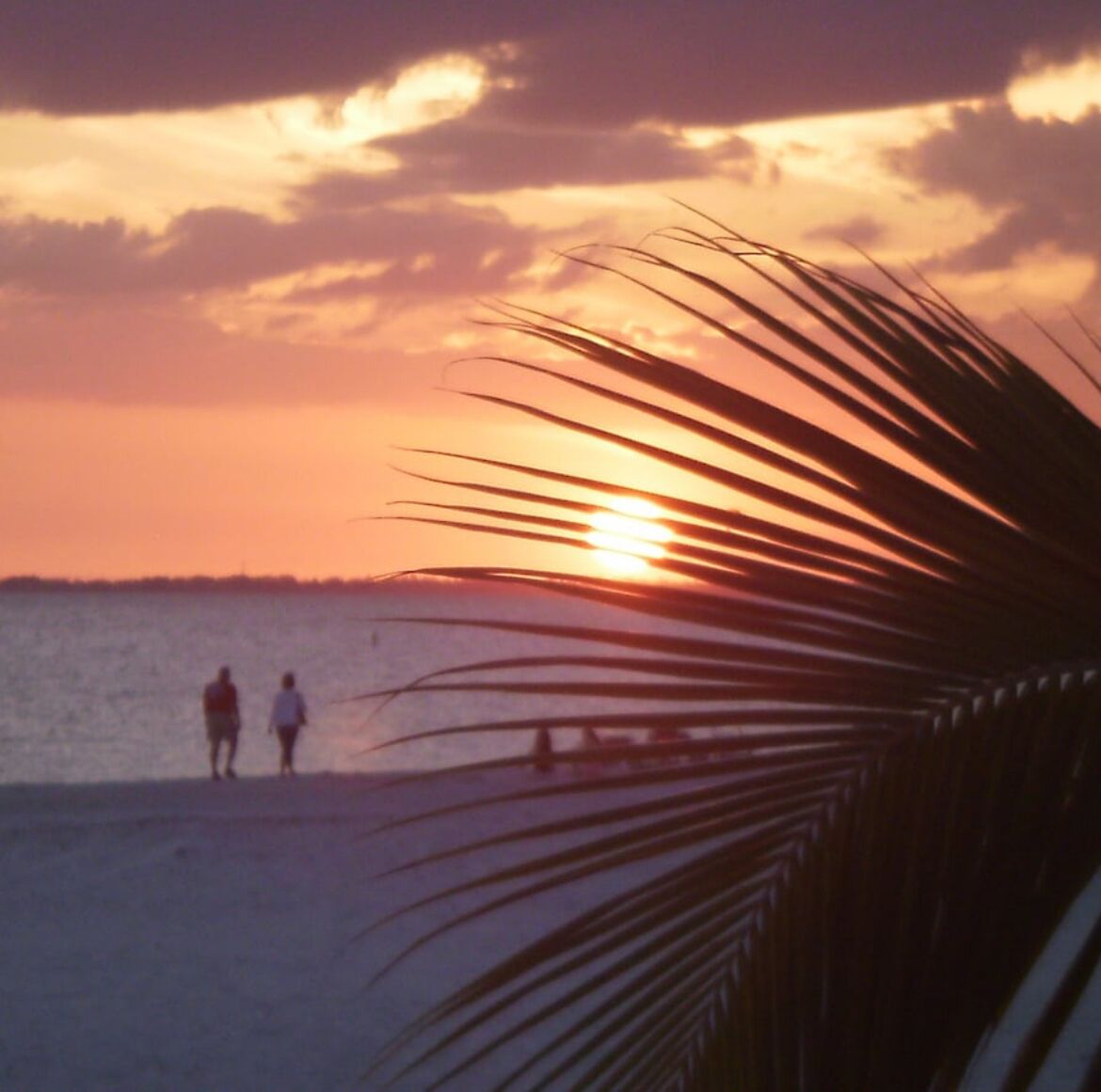 Sun-loungers, beach towels
