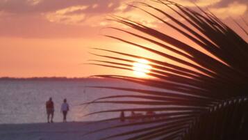Sun-loungers, beach towels