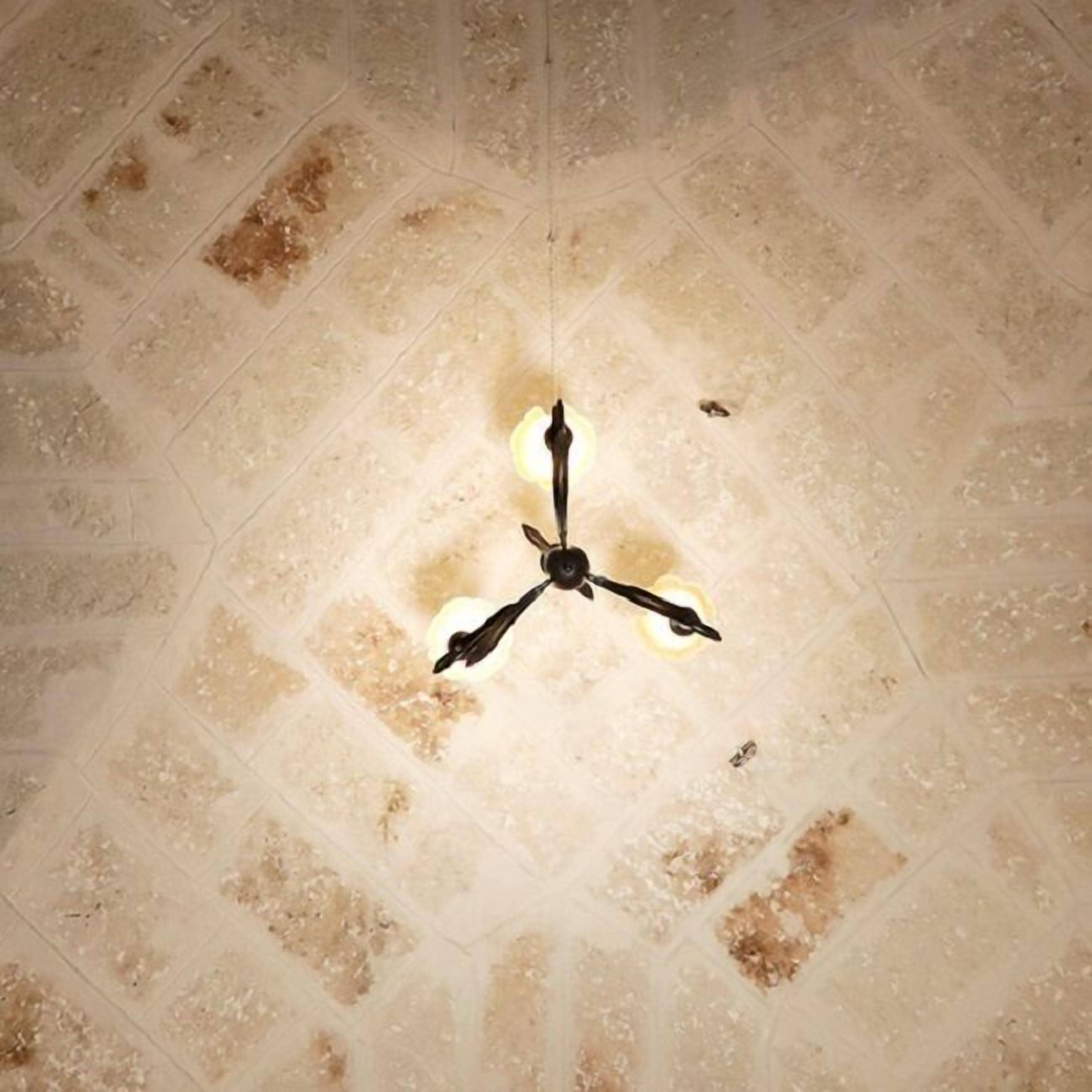 Een plafond met een centraal lichtarmatuur.