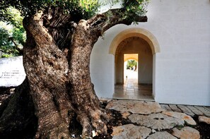 Detalle del exterior