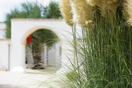 外观. 马塞里米凯莱农庄酒店