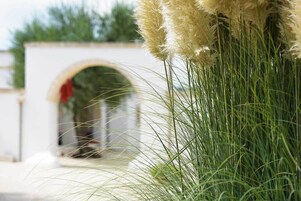 Een detail van hoog, groen gras en verenarend in een tuin.