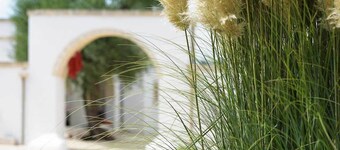 Agriturismo Masseria De Michele