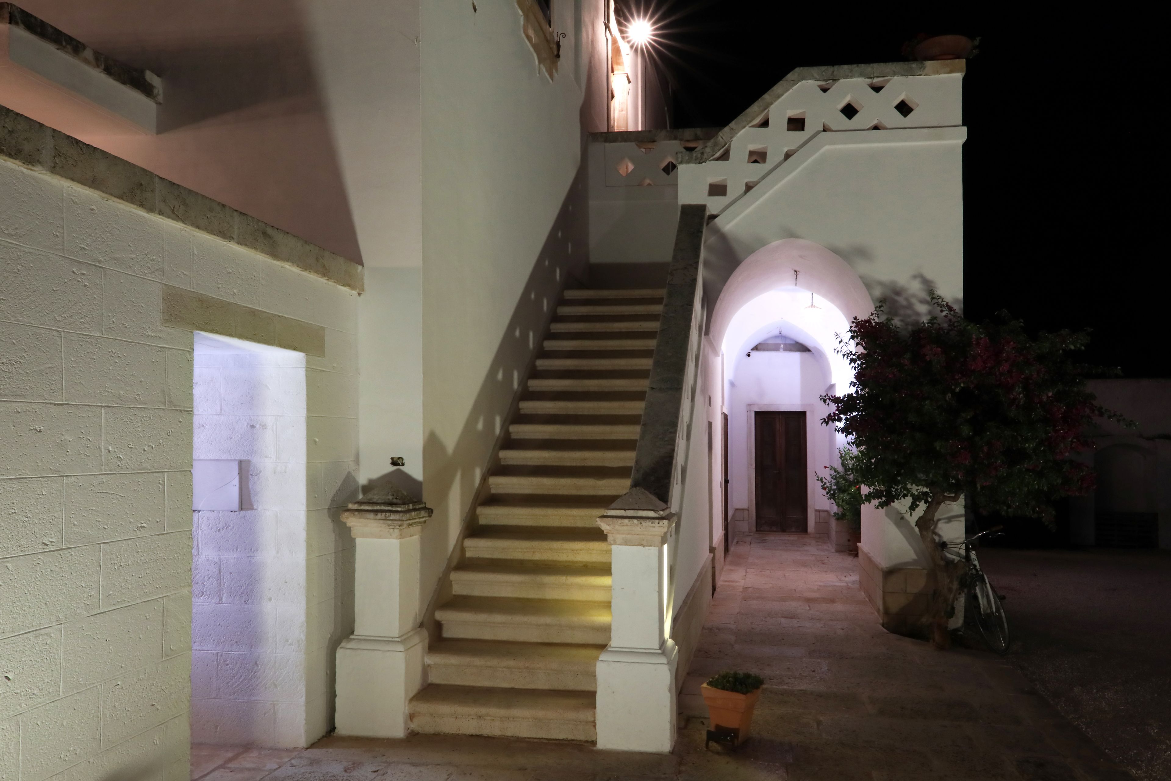 A staircase leading to an entrance, flanked by white walls and a potted plant.