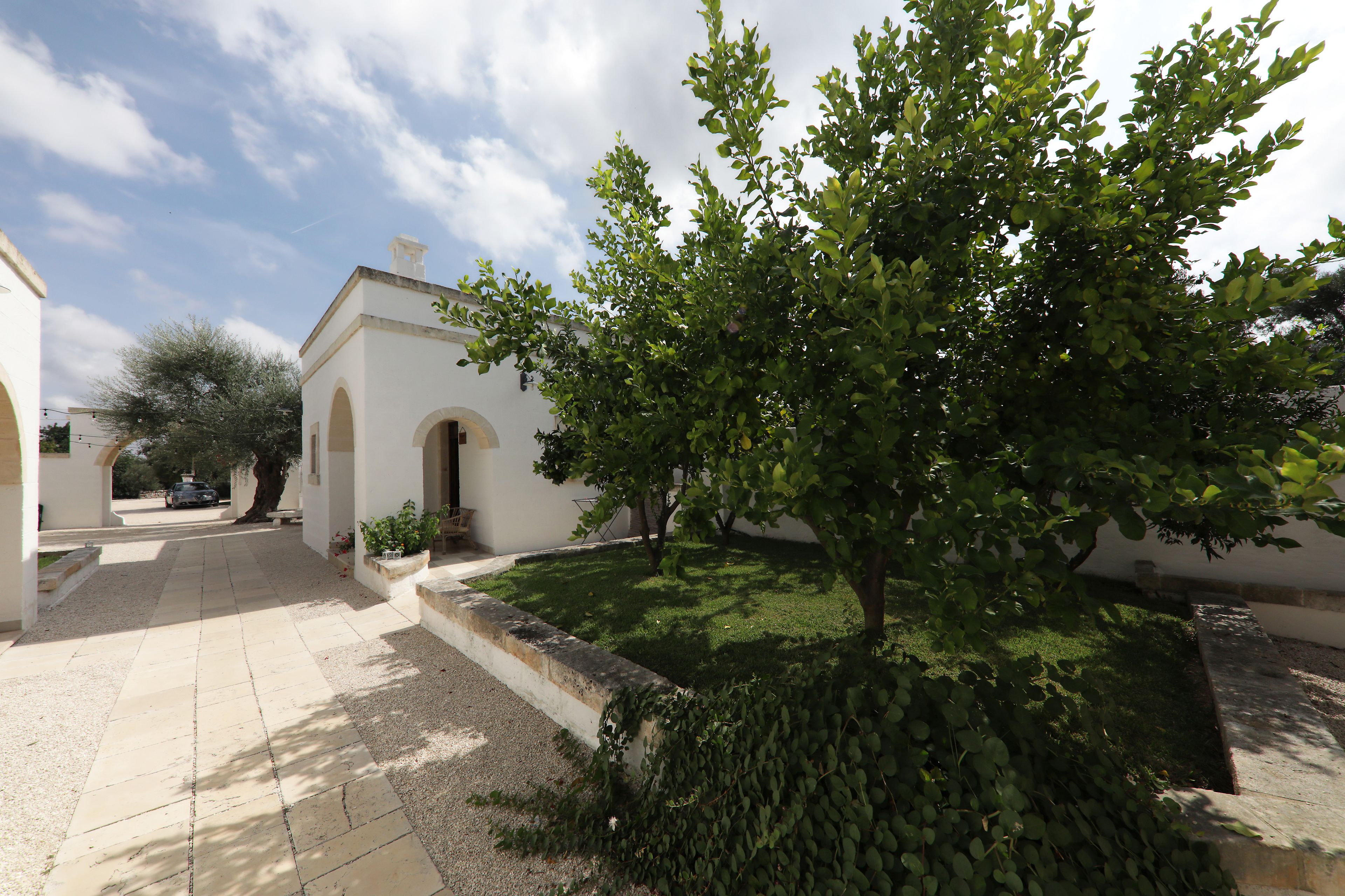 A courtyard with a tree, a white building with arches, and a paved walkway.
