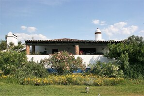 Exterior - Monte das Acácias - 199 Olive Trees (Corval)