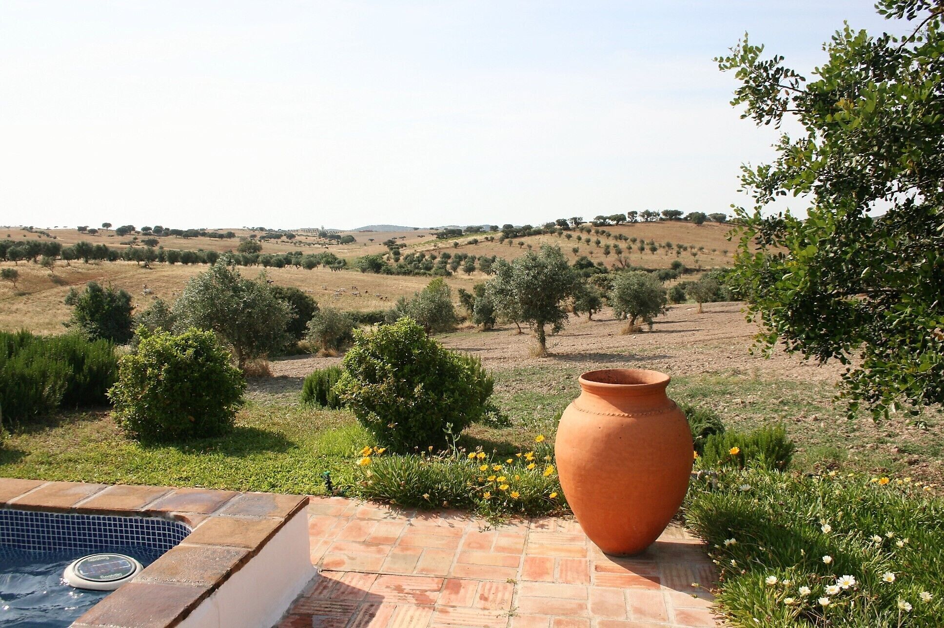 Terrein van de accommodatie