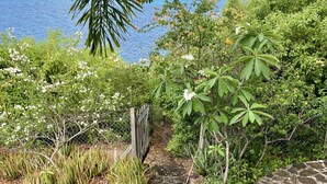 A garden pathway leading to a stone wall overlooking a coastal view. - Secluded skytop retreat with stunning sea and mountain Views (Falmouth Harbor)