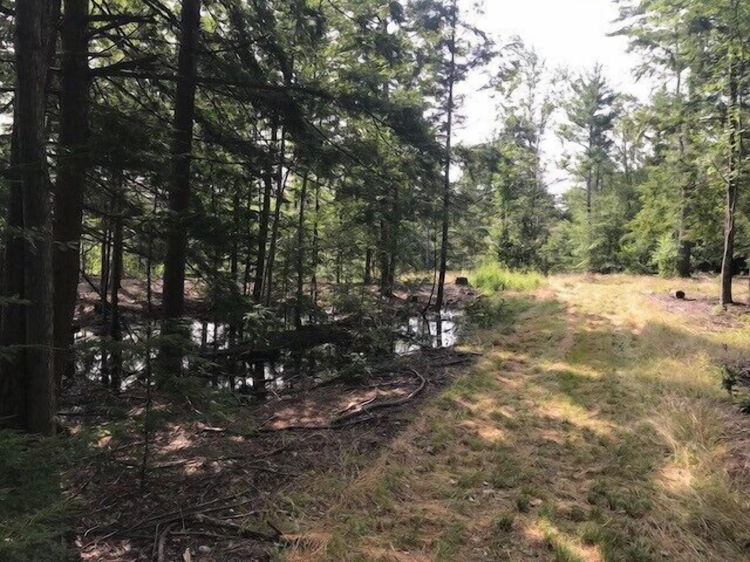 Tentrr Signature Site - Wally Meadows at Purgatory Falls