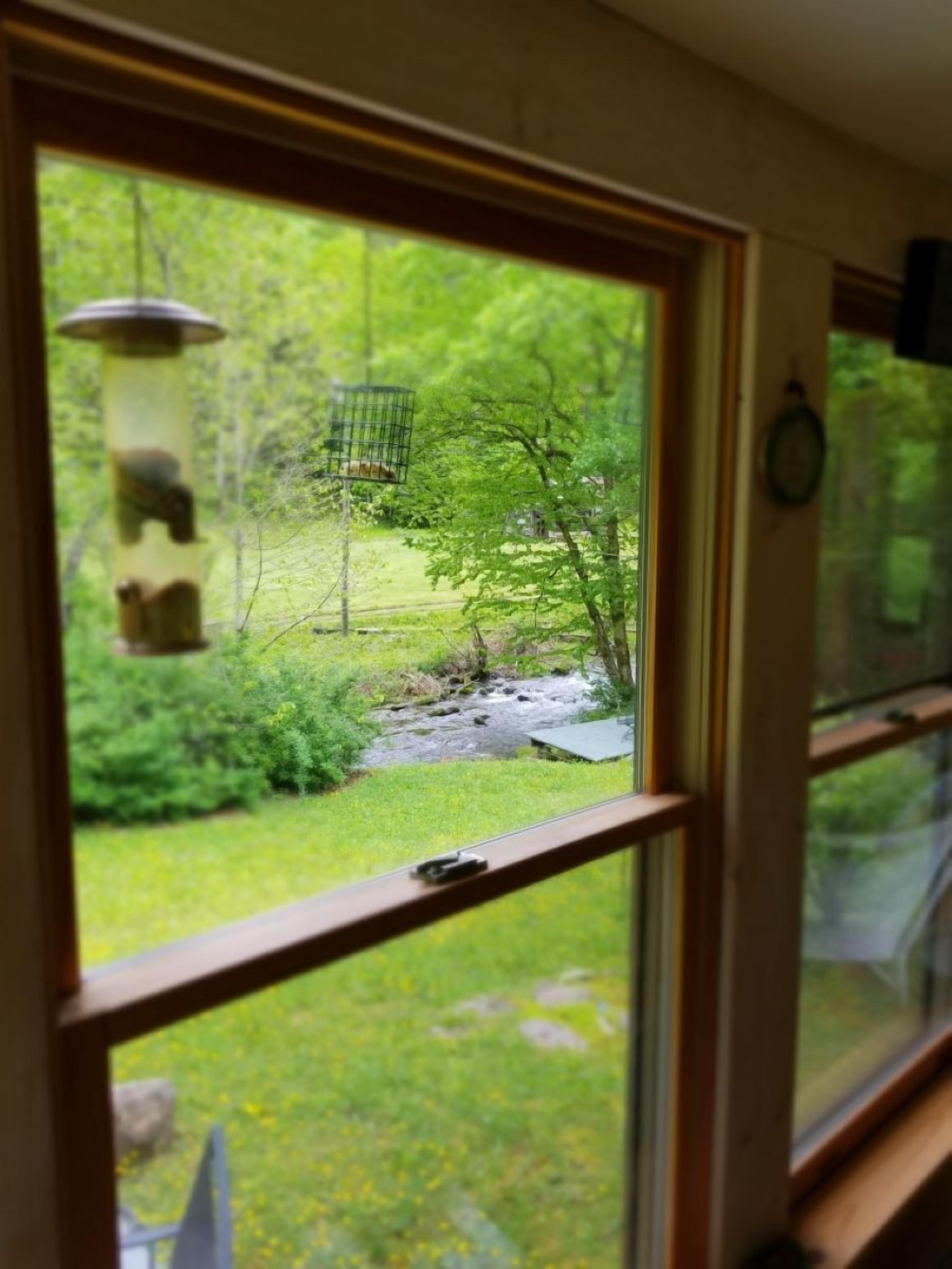 Une fenêtre donnant sur un jardin, avec un abreuvoir à oiseaux et un petit ruisseau.