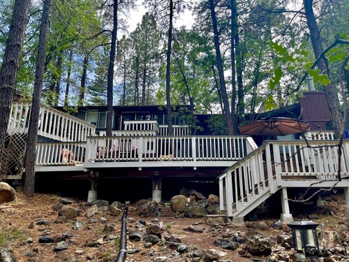 The Unique Squirrels Nest nestled in the Woods! We are pet friendly. 