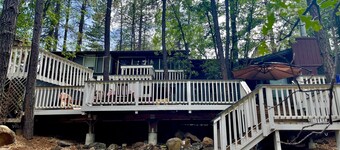 The Unique Squirrels Nest ligger i skogen! Vi er dyrevennlige