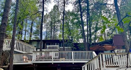 The Unique Squirrels Nest nestled in the Woods! We are pet friendly.