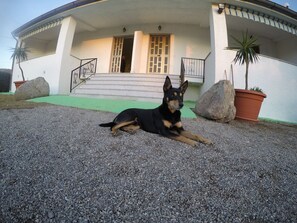 Details aan de buitenkant