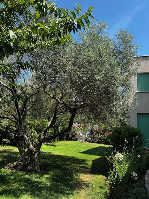 Àrea exterior de l'allotjament