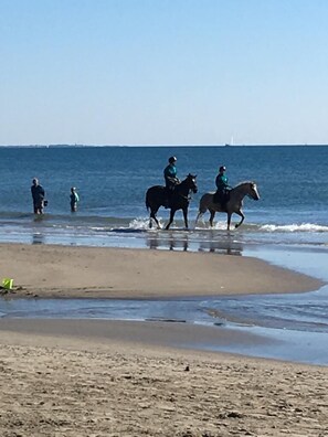 Plage à proximité
