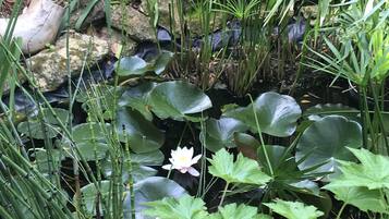 DĂ©tail de lâextĂ©rieur