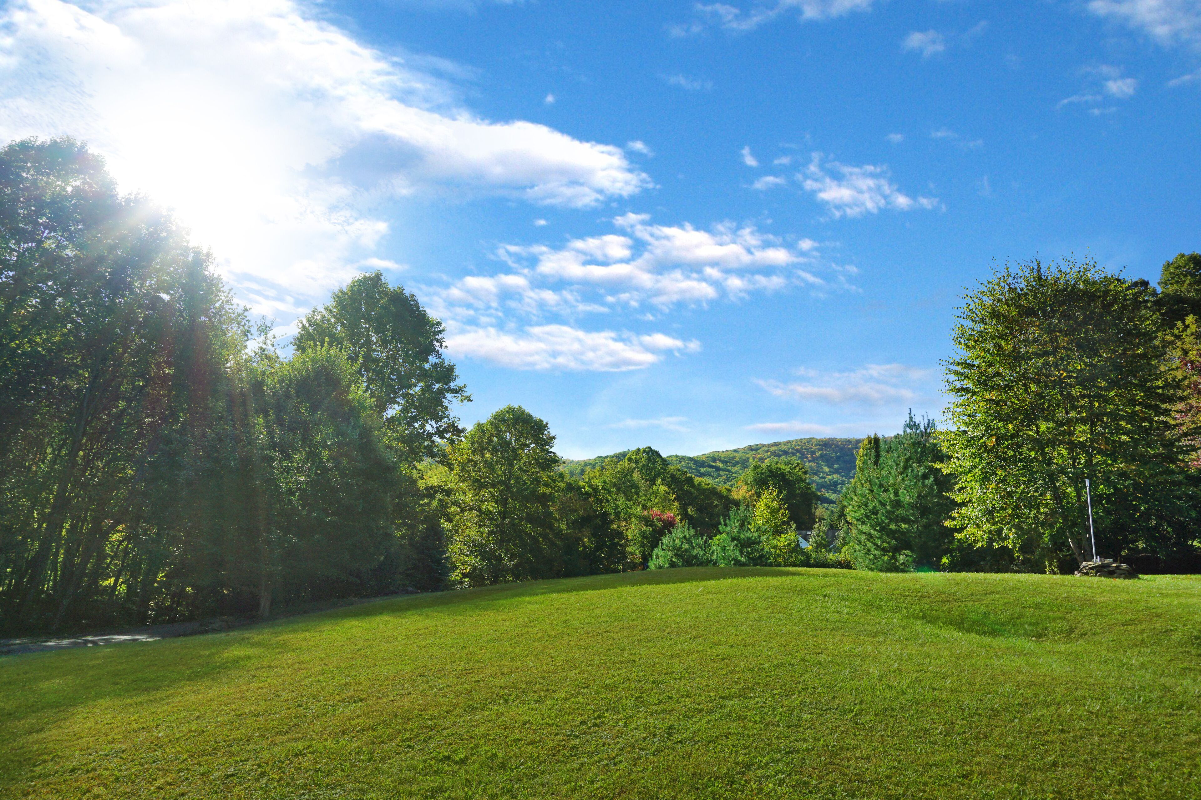 A grassy field with trees and a clear sky.