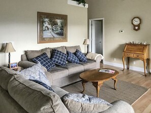 Televisión, chimenea, reproductor de DVD y libros 